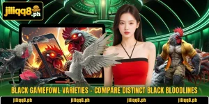 Black Gamefowl Varieties – Compare Distinct Black Bloodlines