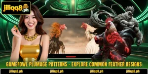 Gamefowl Plumage Patterns – Explore Common Feather Designs