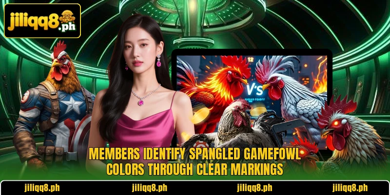Members identify spangled gamefowl colors through clear markings Members identify spangled gamefowl colors through clear markings
