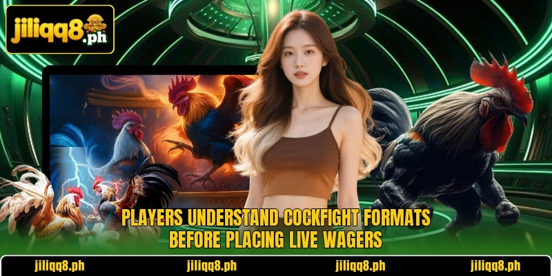 Players understand cockfight formats before placing live wagers Players understand cockfight formats before placing live wagers