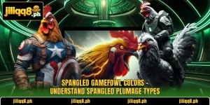 Spangled Gamefowl Colors – Understand Spangled Plumage Types