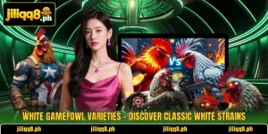White Gamefowl Varieties – Discover Classic White Strains